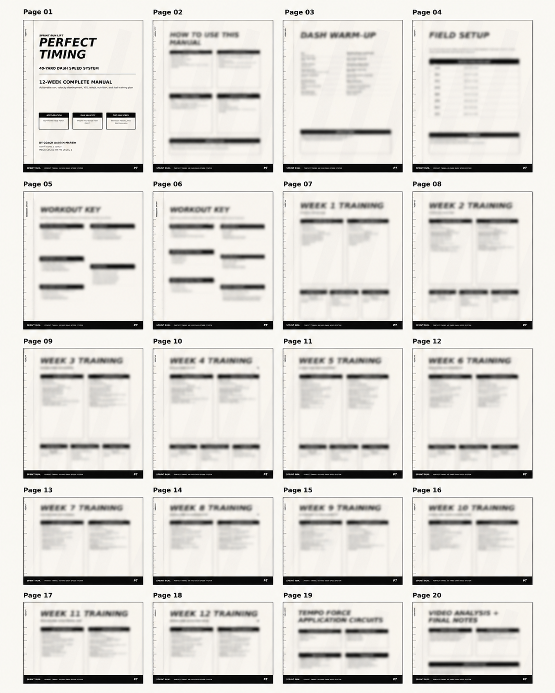 Blurred preview of the Perfect Timing 12-week manual pages